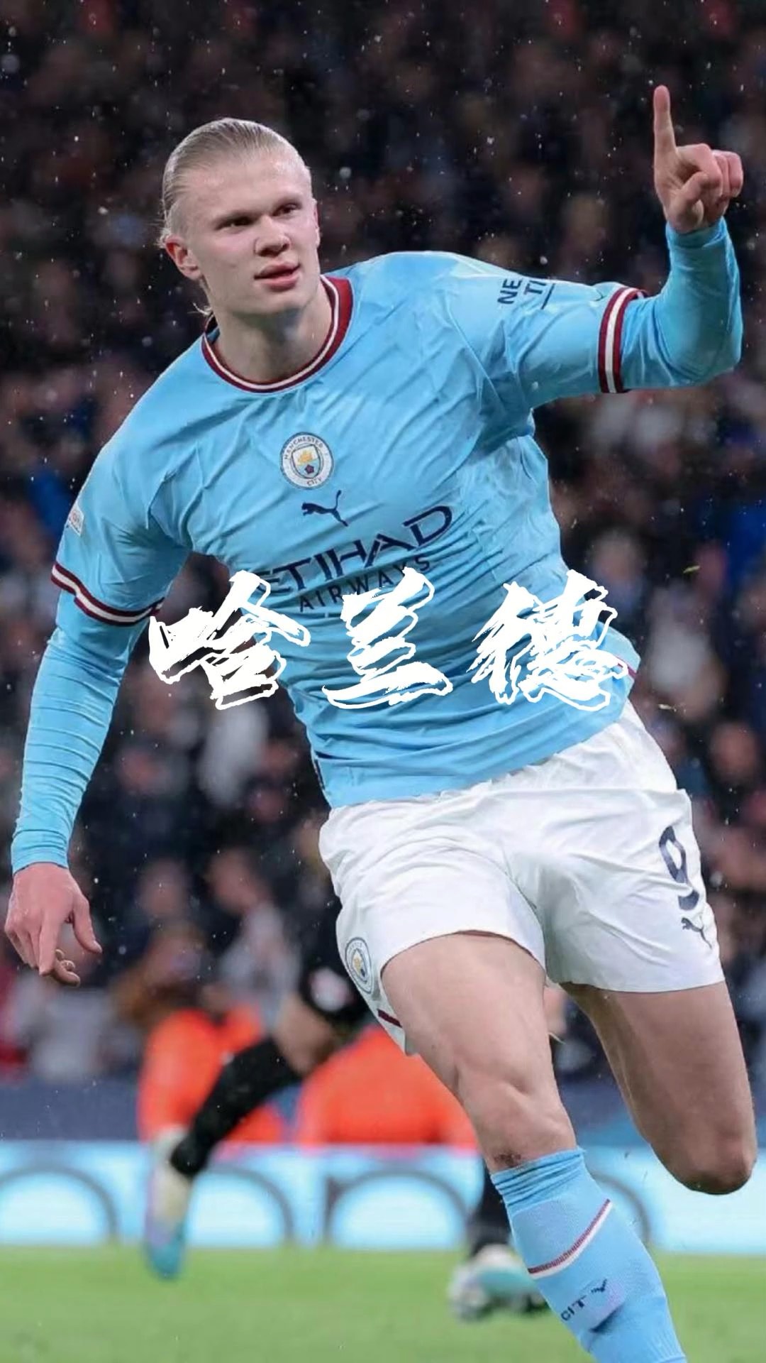 名望段位 名望段位